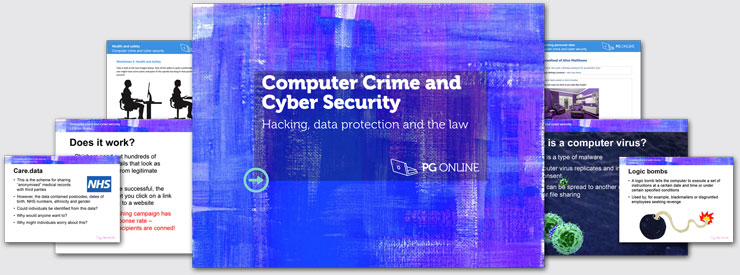 Computer crime and cyber security